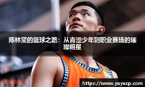 熊猫体育最新网址